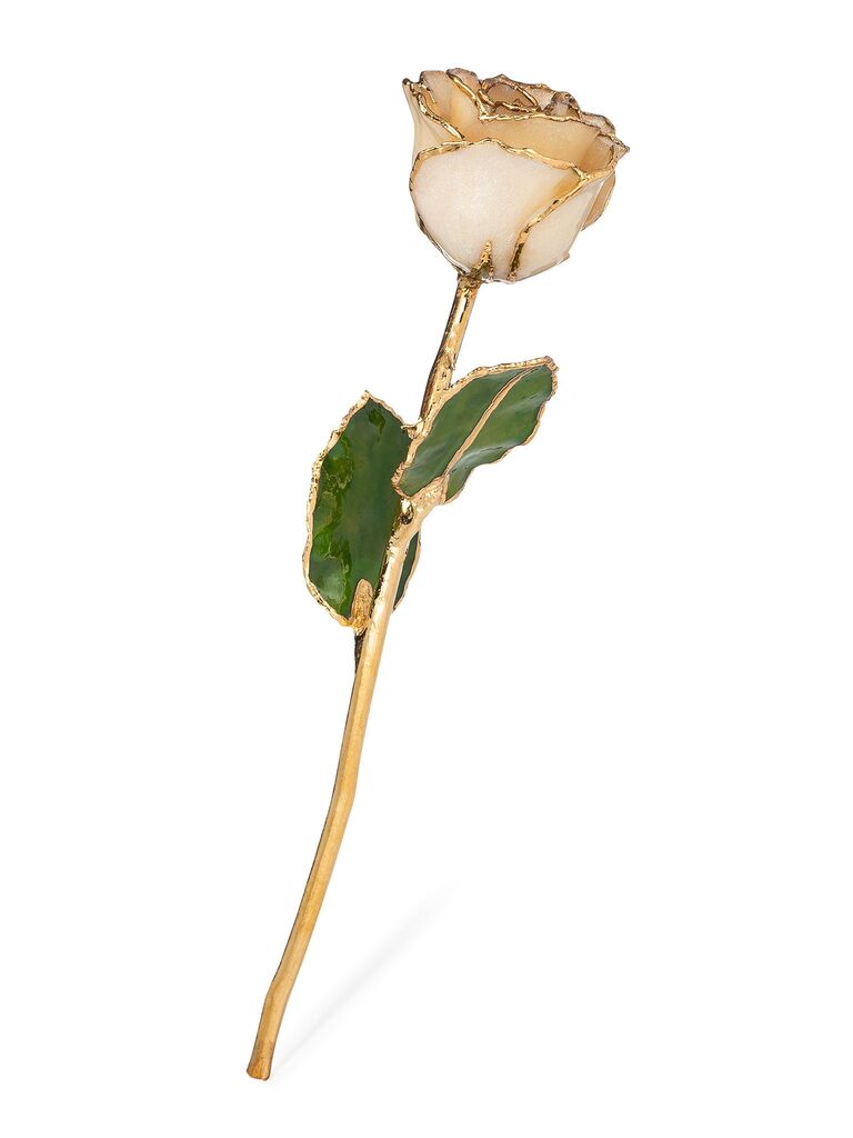 Forever gold and white rose for everlasting love