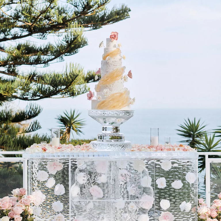 Cake and ice sculpture wedding display
