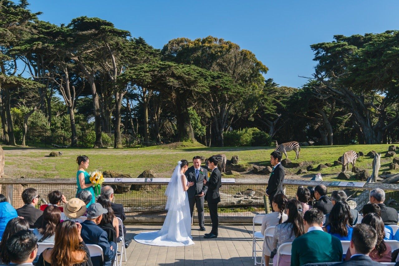 San Francisco Zoo Reception Venues The Knot   44fba6a8 21c4 4f82 9ce2 E341b242425a