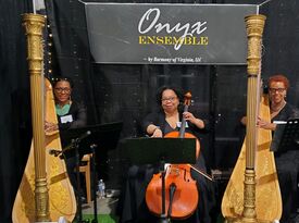 Onyx Ensemble - Acoustic Trio - Richmond, VA - Hero Gallery 4