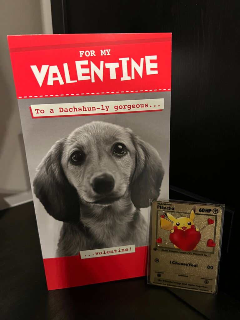 Emily arranged their first Valentine's Day together.  It turns out both of them love terrible puns...