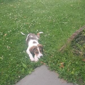 Gallery Photo 124