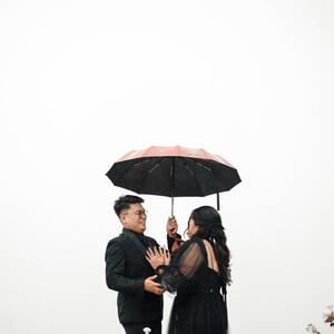 Gallery Photo 4