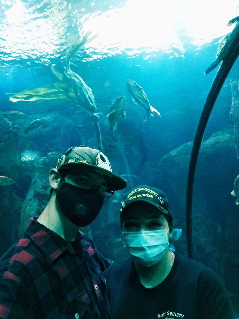 We went to the Newport Aquarium, it was magical!