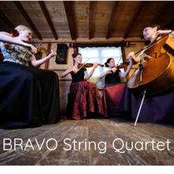 BRAVO String QUARTET, profile image