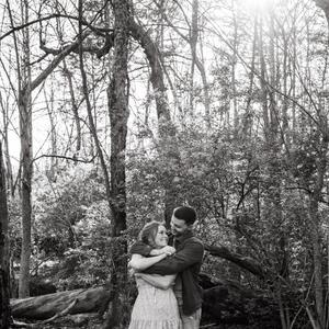 Gallery Photo 31
