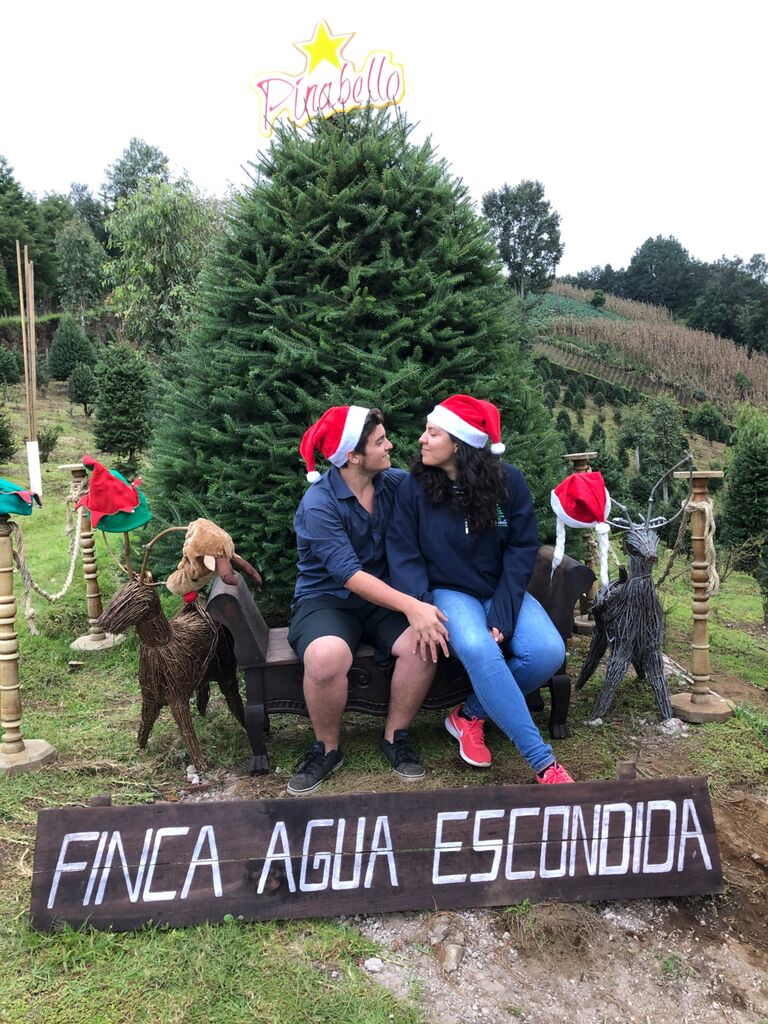 Navidad en Pinabello