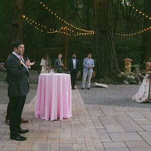Gallery Photo 29