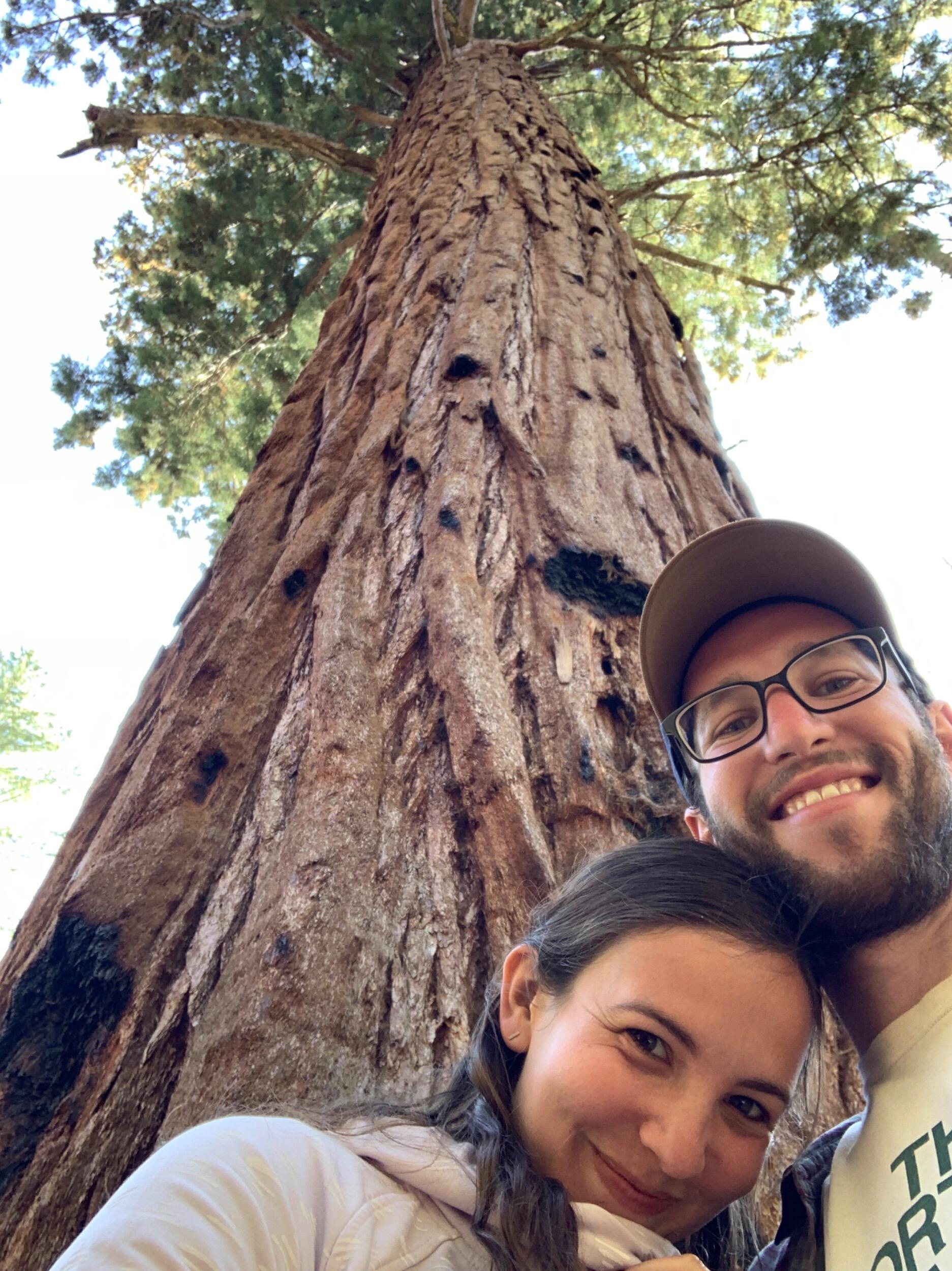 Sequoia National Park, CA