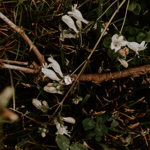 Gallery Photo 39