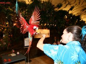 The Parrot Lady of Washington - Animal For A Party - Seattle, WA - Hero Gallery 4