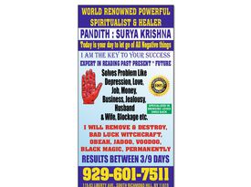 Spiritual Healer and Astrologist - Raje Krishnappa - Psychic - New York City, NY - Hero Gallery 1