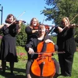 Rondo String Quartet, profile image