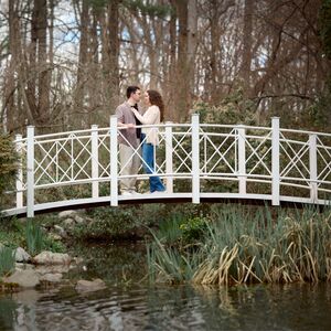 Gallery Photo 7