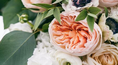 In Bloom {Weddings & Events} | Florists - The Knot