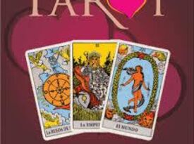 Psychic Tarot Card Gypsy Girl - Palm Reader Las Vegas, NV - The Bash