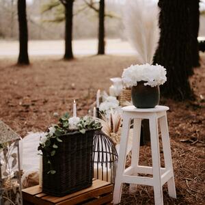 Gallery Photo 35