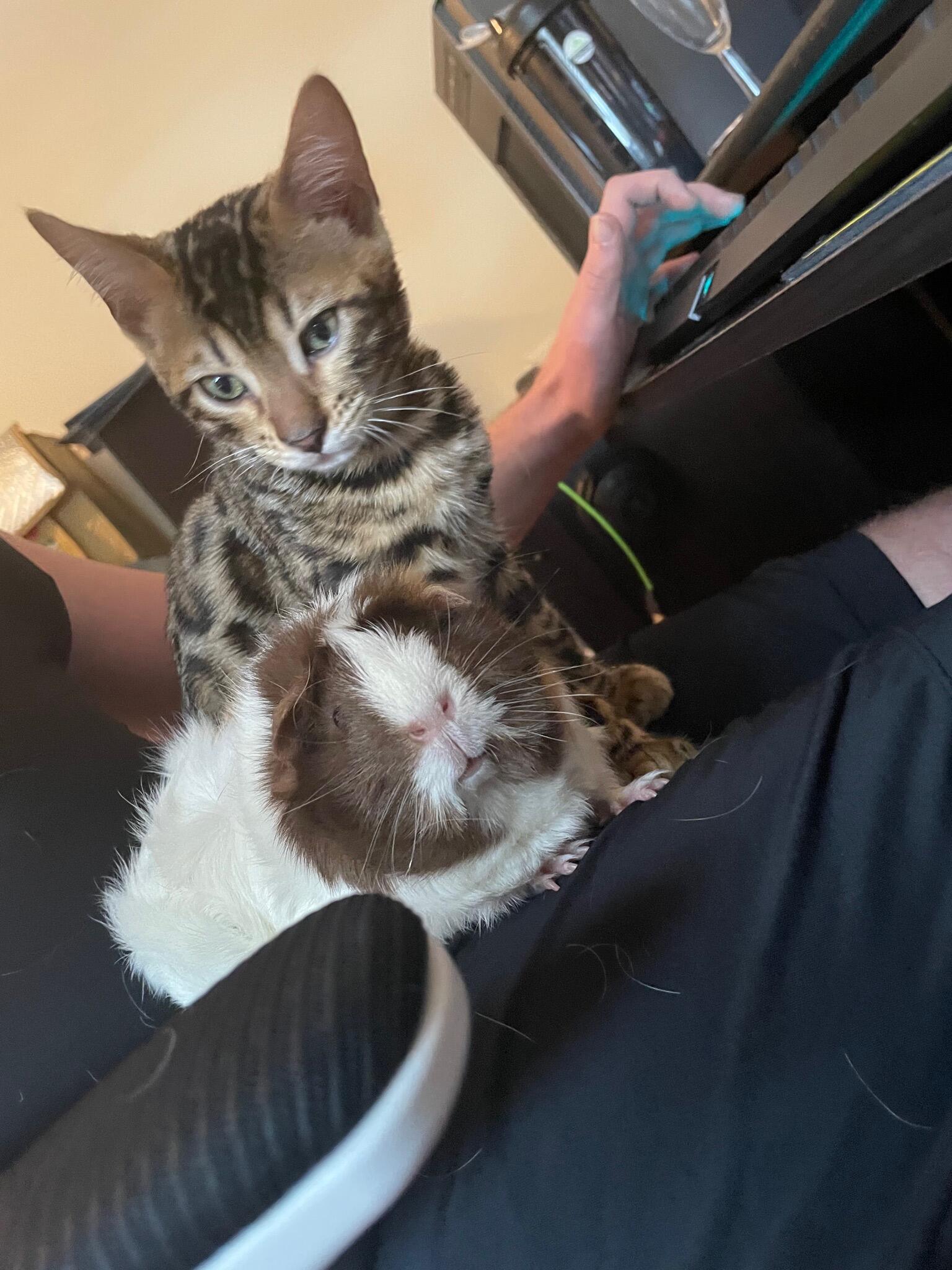 We love showing off pictures of our kids…