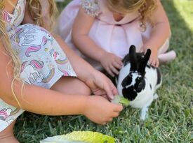 Gabi's Barnyard Adventures - Animal For A Party - Somis, CA - Hero Gallery 4