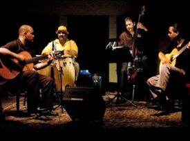 The Hot Sun Quartet - World Music Band - Tampa, FL - Hero Gallery 1