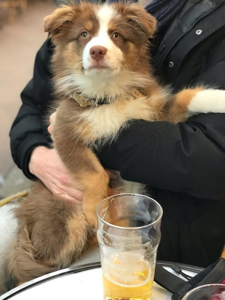 First beer when the bar re-opened!