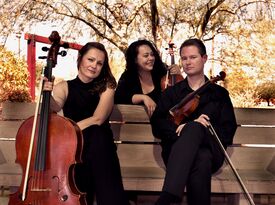 Elite Music Group - Classical Quartet - Las Vegas, NV - Hero Gallery 1