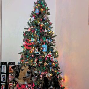 Gallery Photo 16