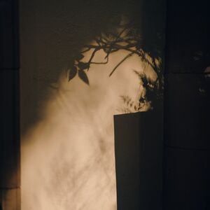 Gallery Photo 43