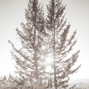Gallery Photo 10