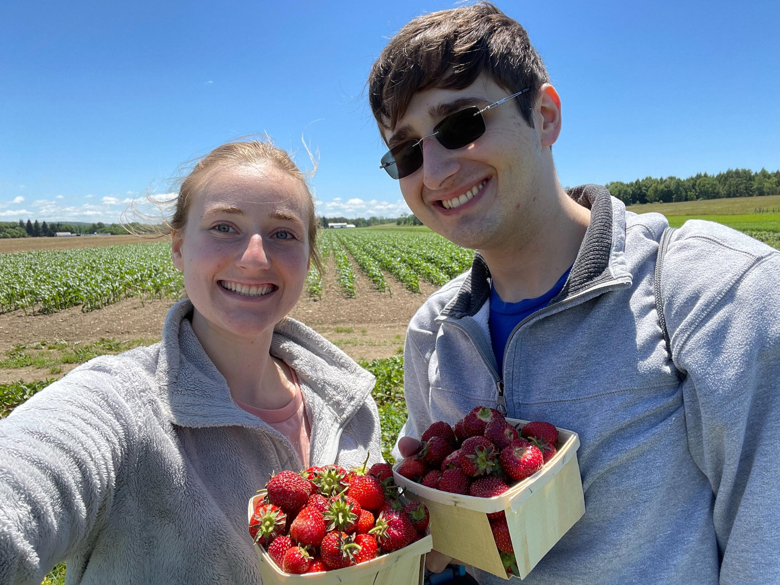 Strawberry picking!