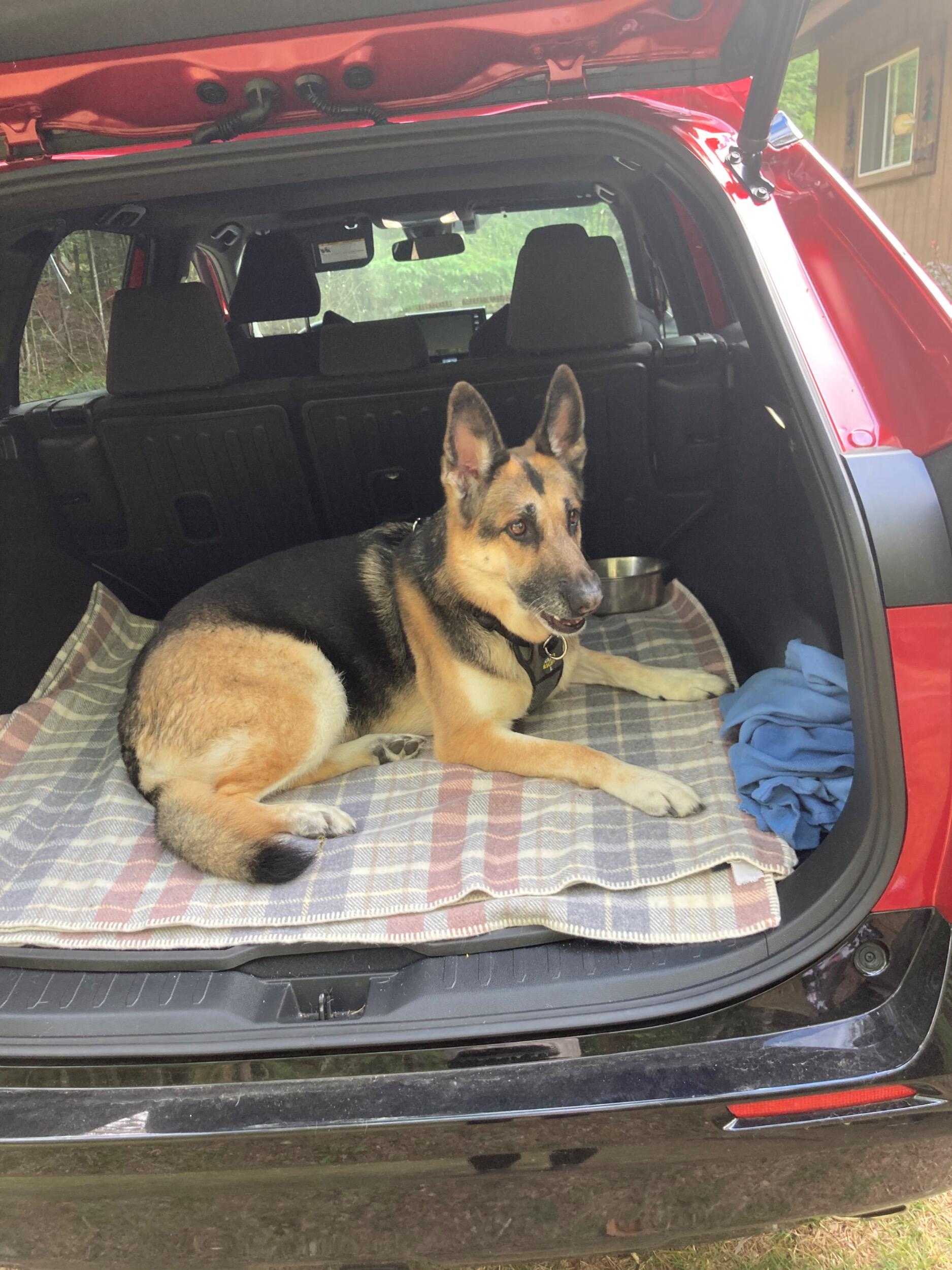 John's dog Ridley gets to experience the wonders of Up North!