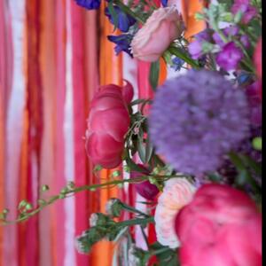 Gallery Photo 18