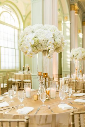 Orchid Wedding Rentals Equipment