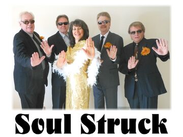 Soul Struck - Motown Band - Schaumburg, IL - Hero Main