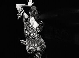 Paola Flamenco Dancing  - Flamenco Dancer - Los Angeles, CA - Hero Gallery 2