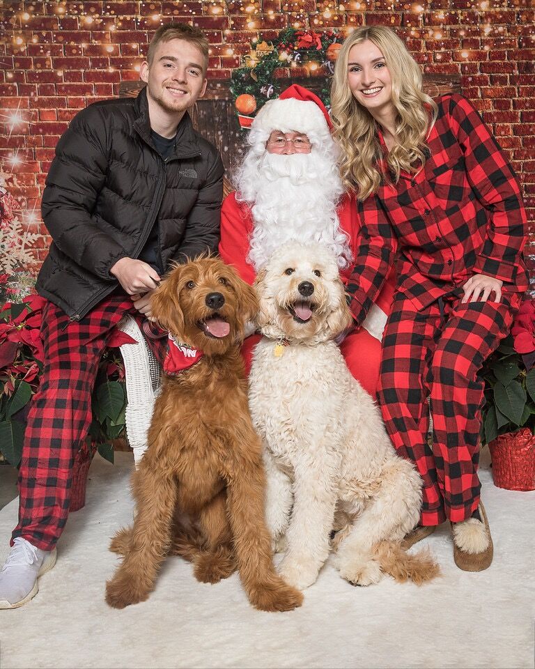 First family photos with our dogs Phoebe and Nash