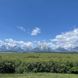 Gallery Photo 9