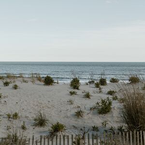 Gallery Photo 22