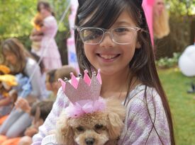 Star Poodlez - Animal For A Party - Los Angeles, CA - Hero Gallery 2