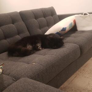 Gallery Photo 7
