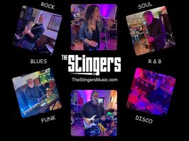 The Stingers Music - Classic Rock Band - Chicago, IL - Hero Gallery 1