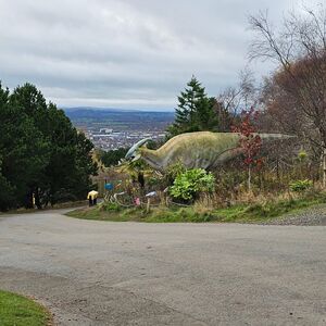 Gallery Photo 61