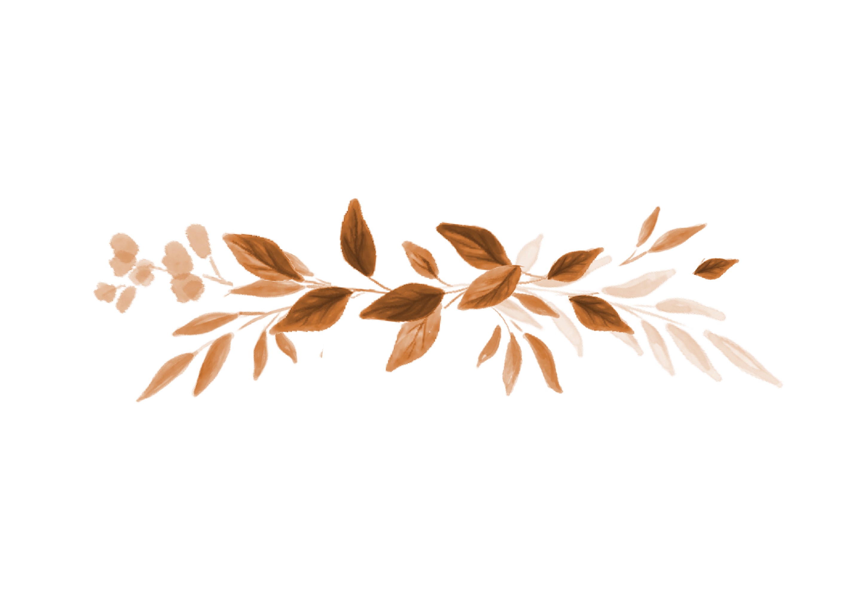 Top Theme Image