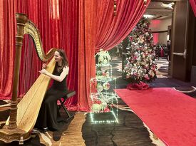 Modern Fairytale Wedding Harpist - Harpist - Las Vegas, NV - Hero Gallery 4