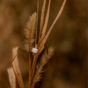 Gallery Photo 51