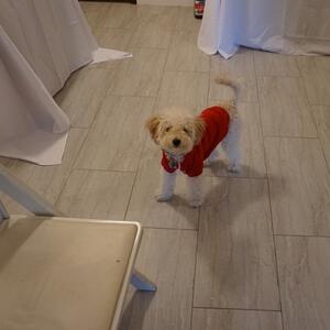 Gallery Photo 79