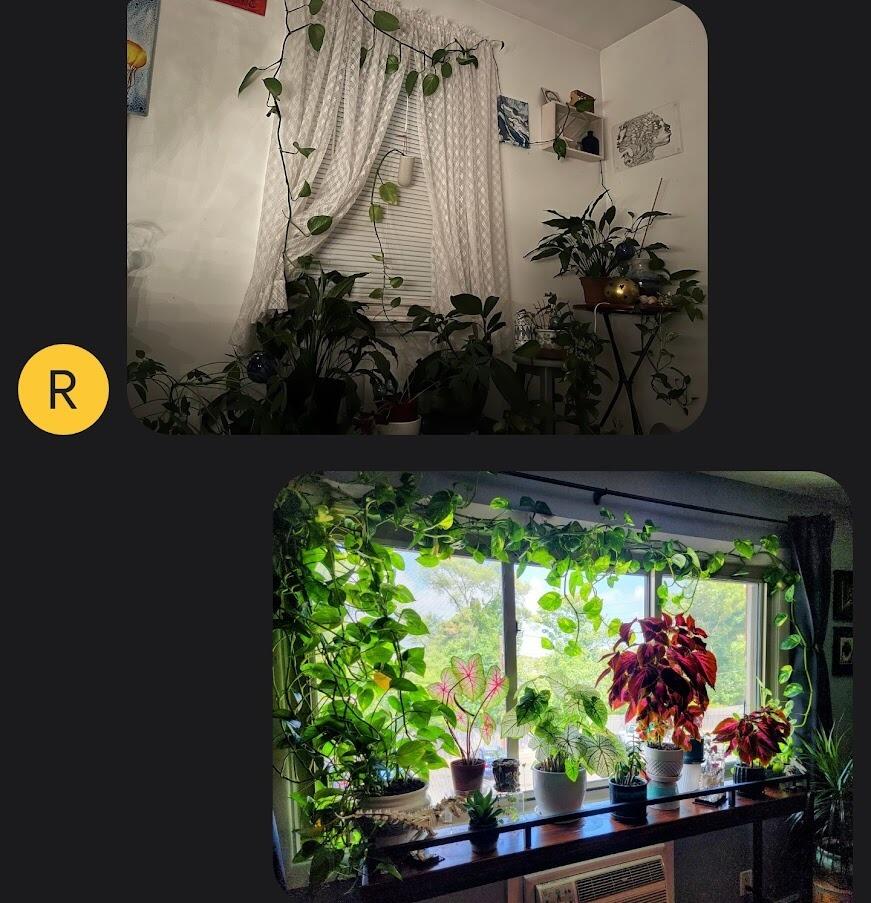 Bonding over our love of plants.