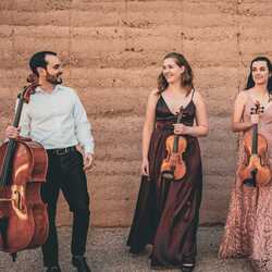 Madera String Quartet, profile image