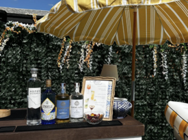 Blaire's Mobile Bar Service - Bartender - Grapevine, TX - Hero Gallery 3