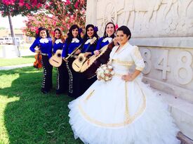 Mariachi Rosas Divinas - Mariachi Band - Dallas, TX - Hero Gallery 3